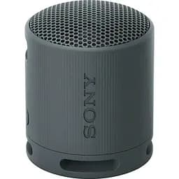 Портативна колонка Sony SRS-XB100 Black (SRSXB100B)