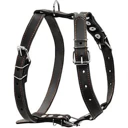 Шлея Collar одинарна для середніх собак (ширина 25мм, А:49-68см, В:68-80см) чорний - мініатюра 2