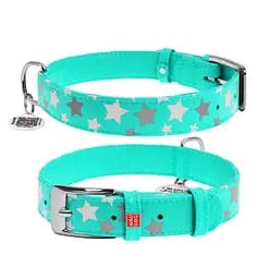 Нашийник для собак шкіряний Waudog Glamour з QR-паспортом візерунок "Зірочка" світлонакопичувальний/світловідбивний M Ш 20 мм,