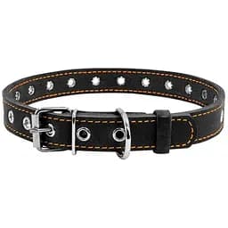 Нашийник для собак Collar, шкіряний, безрозмірний, 50х2 см, чорний