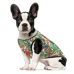 Боротьба Pet Fashion Ріо для собак, розмір XS, принт