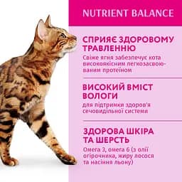 Набір вологого корму для кішок Optimeal із ягням та овочами в желе, 340 г (4 павучі по 85 г) (B2720301) - мініатюра 2