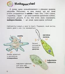 Енциклопедія дошкільника. Мікроби - мініатюра 9