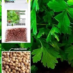 Насіння Весна Коріандр Кінза зіпер 7 г (11918)