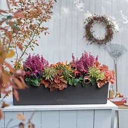 Вазон Lechuza Balconera Color 80 пісочно-коричневий (15706) - мініатюра 4