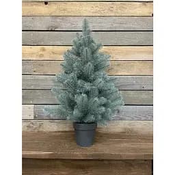 Ялинка Hvoya Premium лита у горщику 70 см блакитна