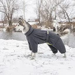 Комбінезон Pet Fashion Cold для такс, розмір M, сірий - мініатюра 5