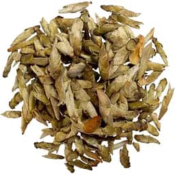 Дикі бруньки з пуерних дерев Гу Шу Я Бао від Цзин Лун 2021 р. - 50 г