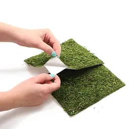 Фон з натурального моху Repti-Zoo Natural Moss Back & Bottom 45x45см 2 шт (NCM4545) для тераріуму - мініатюра 7