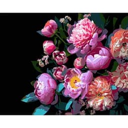 Картина по номерам Strateg Пионовидные цветы на черном фоне 40Х50 см (AH1259)