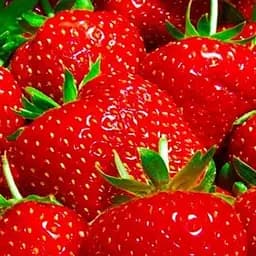 Саженец Agro-Market Клубника Мальвина (Malwina) (поздний срок созревания) (19926) 