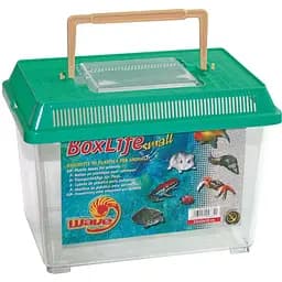 Транспортирующий бокс Amtra маленький 23 x 15 x 16 см