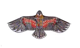 Повітряний змій Орел VZ-2201 1,7 м, в пакеті (6955500026552)