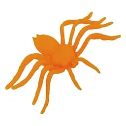 Паук оранжевый