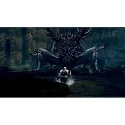 Гра Dark Souls Remastered (російські субтитри) (Nintendo Switch) - мініатюра 6
