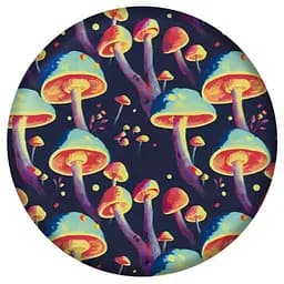 Фрісбі Waboba Wingman Фантастичні гриби 15 см (302C01_A)