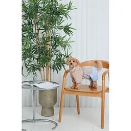 Дощовик Pet Fashion Tina для дівчаток розмір M бежевий/блакитний - мініатюра 10