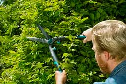 Ножиці для живоплоту Gardena EasyCut (12301-20.000.00) - мініатюра 4