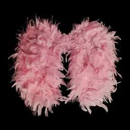 Крила янгола