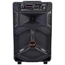 Колонка JT-830-1-2-833-835, мікрофон, TF-слот, світлодіодне підсвічування, Bluetooth, 41x25x21 см, чорна