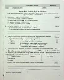 Українська мова. 5 клас. Контроль результатів навчання - мініатюра 2