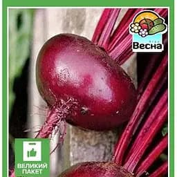 Семена Весна Свекла Мулатка Большой пакет 6 г (32771)
