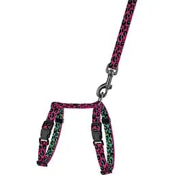Шлея для кошек и собак мелких пород BronzeDog Urban Art Леопард с поводком XXS 15-23 см