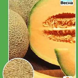 Дыня "Ананас" ТМ "Весна" 1.5г (10137)