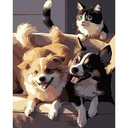 Набір для розпису по номерах Strateg Дві собаки і кіт на чорному фоні 40 х 50 см (AH1190-17)