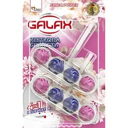 Туалетний блок для унітазу Galax Квіткова свіжість 110 г (2 шт. х 55 г)