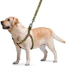 Шлея для собак Waudog Nylon Мілітарі, з QR паспортом, L, 60-90х2,5 см, оливковий - мініатюра 3