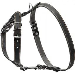 Шлея Collar одинарна для малих та середніх собак (ширина 20мм, А:40-56см, В:57-65см) чорний - мініатюра 2