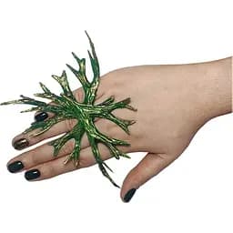 Перстень Эльфийка