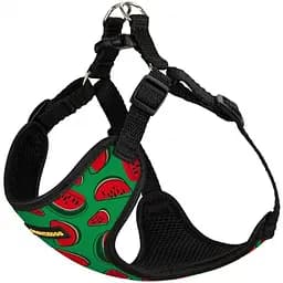 Шлея для собак Bronzedog Sport Арбуз XS 14х12х2 см зеленая