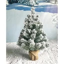 Ялинка Hvoya Classic в мішковині 70 см засніжена