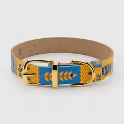 Ошейник для собак Hidog 205-1035 XL (42-56 см) (2100103524019)(SN)