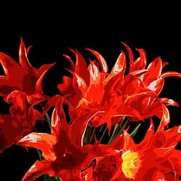 Набор для росписи Strateg Букет красных тюльпанов на черном фоне 40х40 см (AV4040-80)