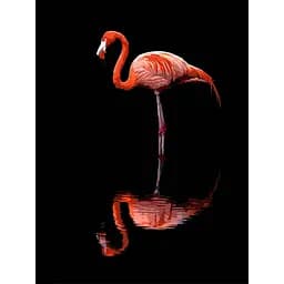 Картина по номерам Strateg Фламинго на черном фоне 30х40 см (FH-36)