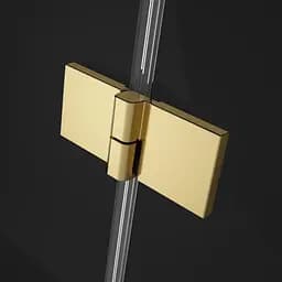 Шторка для ванни Radaway Essenza Pro Gold PND II 120 10102120-09-01R права - мініатюра 3