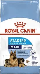 Сухий корм Royal Canin Maxi Starter Mother & Babydog для цуценят великих порід, з м'ясом птиці і рисом, 4 кг