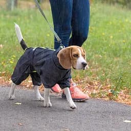 Комбінезон Pet Fashion RAIN для собак сірий 3XL - мініатюра 4