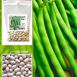 Фасоль "Файный Ясь" ТМ "Весна" 100г (19595)