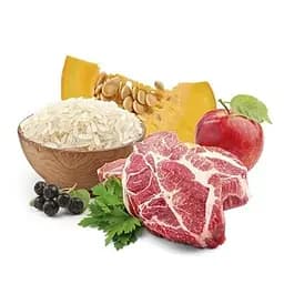 Сухий корм для активних собак і юніорів Home Food Adult Medium/Maxi середніх та великих порід з ягнятиною та рисом 10 кг - мініатюра 2