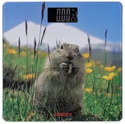 Підлогові ваги Ardesto SCB-965MATTERHORN