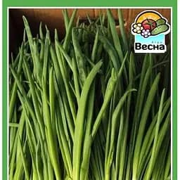 Насіння Весна Цибуля на зелень Батун 0.5 г (10339)