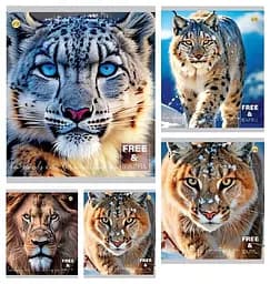 Зошити учнівські 48 аркушів клітинка Тверда 41504 Звірі, 10 шт. в упаковці