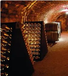 The Treasures of Champagne - мініатюра 4