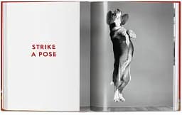 Chandoha. Dogs. Photographs 1941–1991 - мініатюра 8