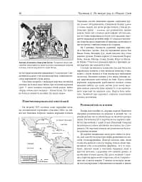 Історія Америки - мініатюра 15