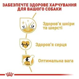 Сухий корм для дорослих собак породи Золотистий ретрівер Royal Canin Golden Retriever Adult, 3 кг (3970030) - мініатюра 6